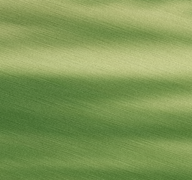 Textured green gradient background